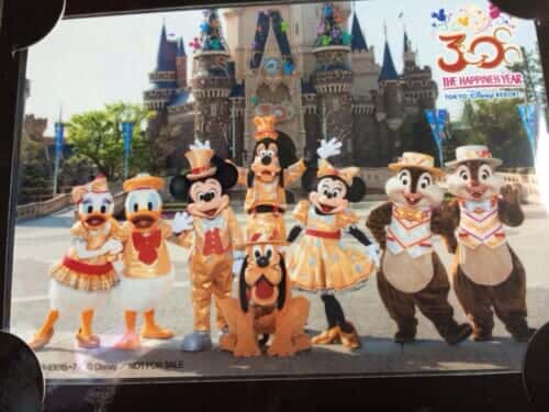 Tokyo Disney Resort 30th Anniversary Music ALBAM THE HAPPINESS YEAR Delux