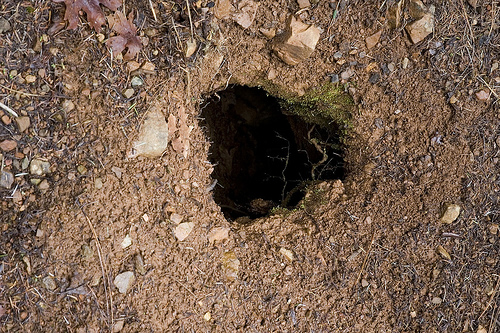 hole in the ground